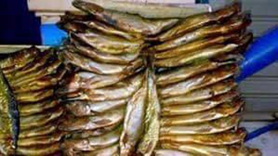 صورة آرشيفية صورة آرشيفية