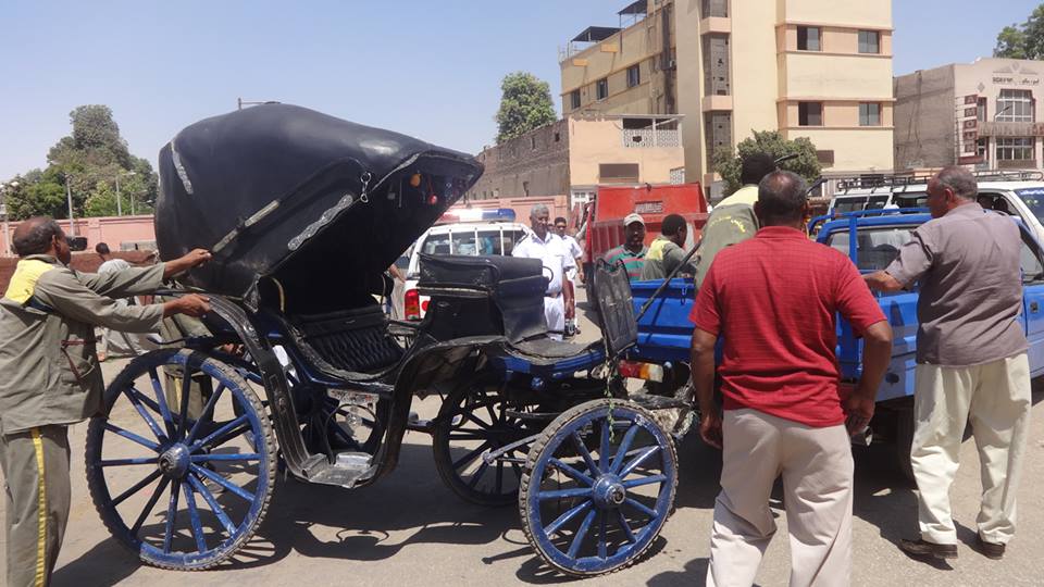 عربات الحنطور