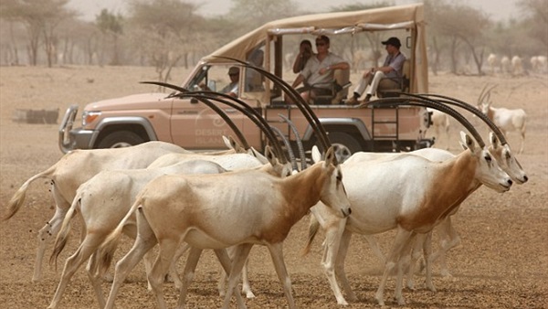 صورة ارشيفية