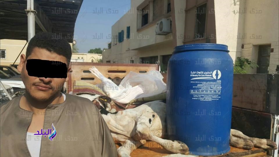 ضبط طن لحوم نافقه وغير صالحة للاستهلاك الآدمي بالفيوم ضبط طن لحوم نافقه وغير صالحة للاستهلاك الآدمي بالفيوم