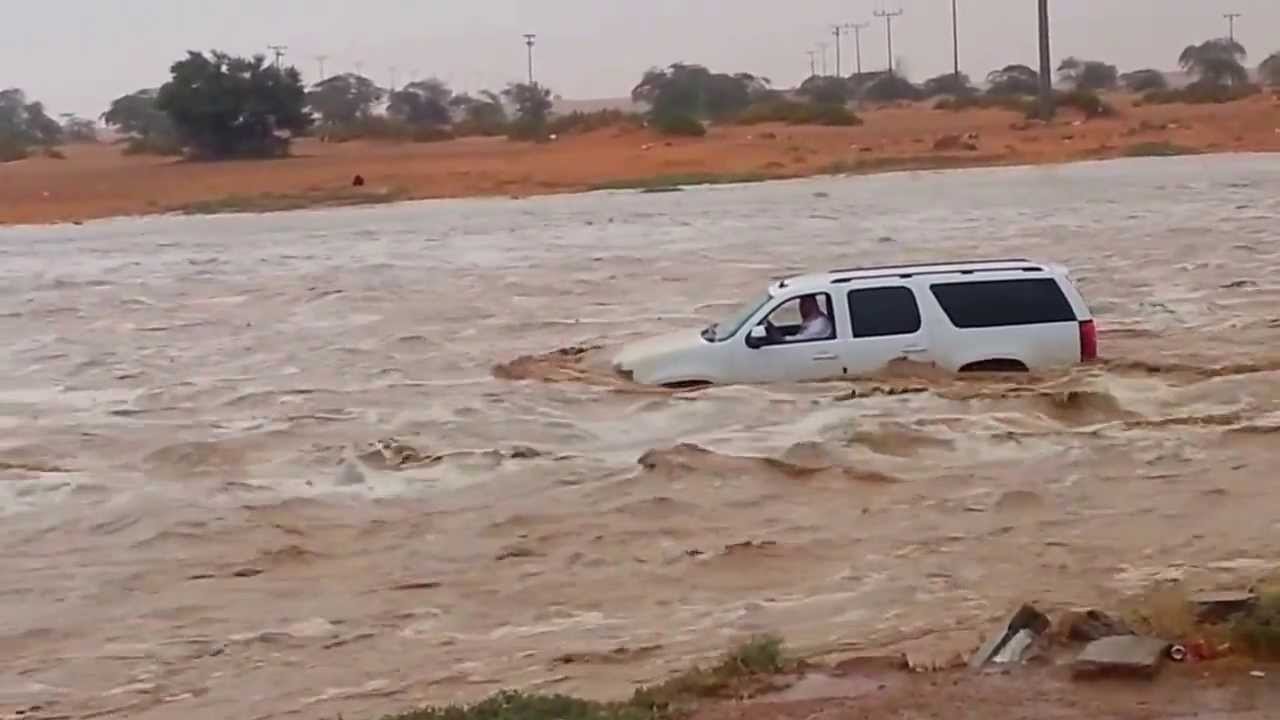 ارشيفية ارشيفية