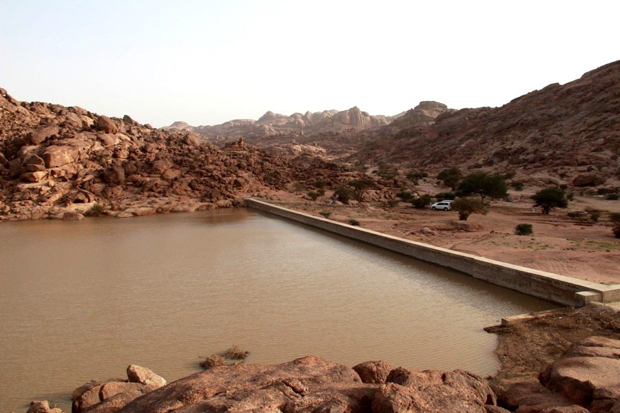 ارشيفية