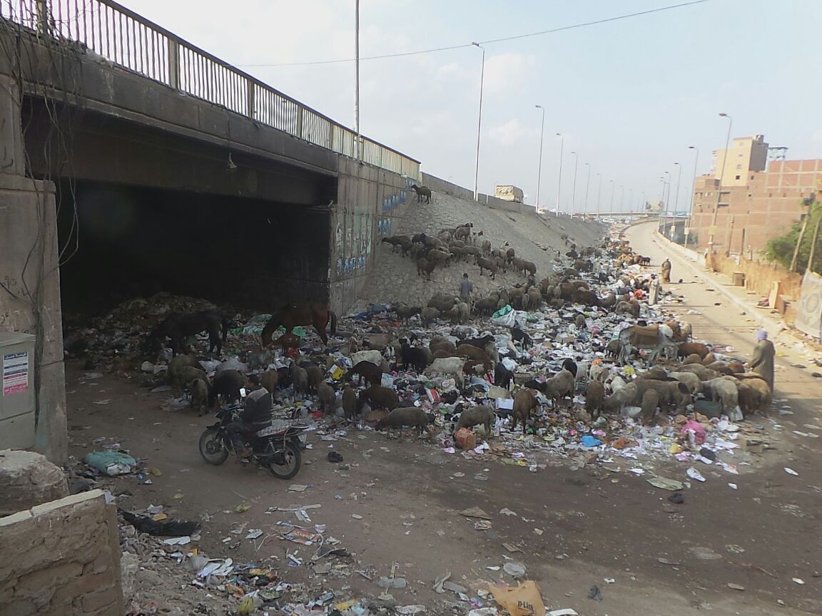 إلقاء القمامة اسفل دائرى صفط