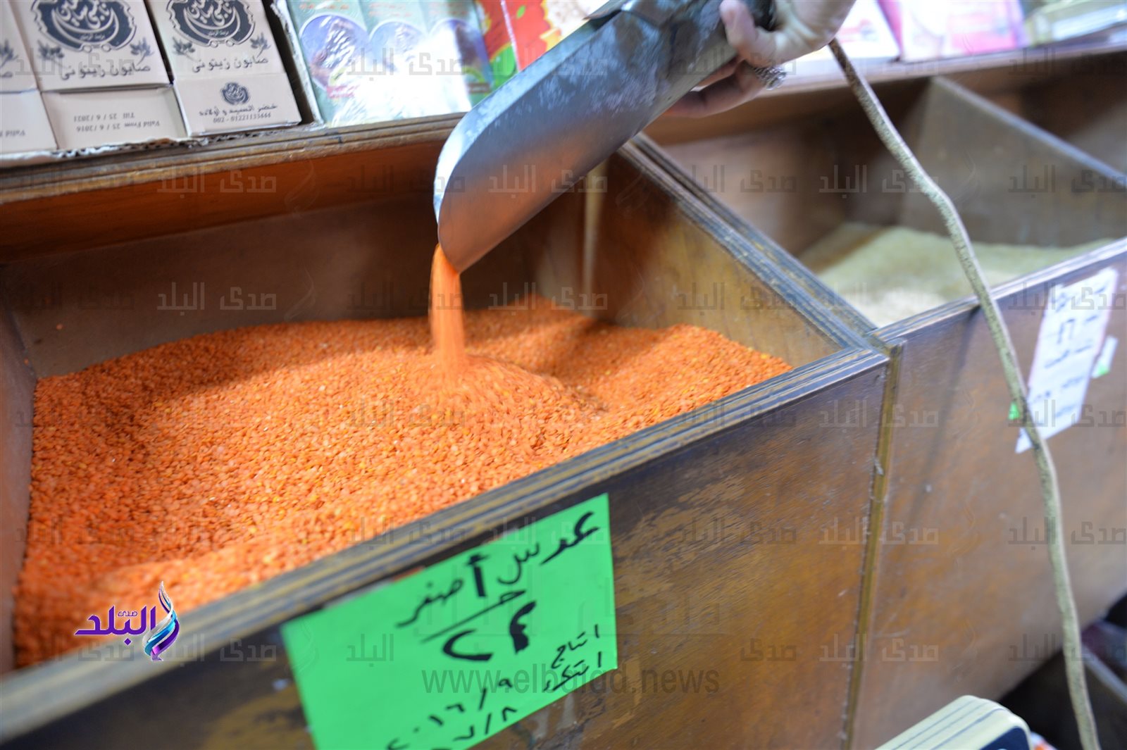  العدس ارتفع 150 %