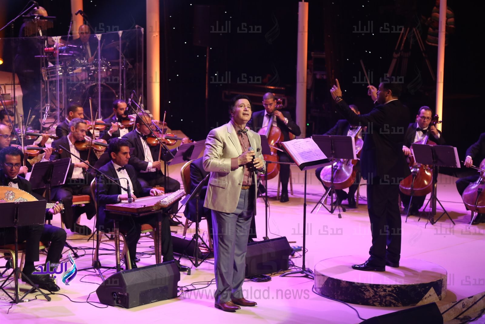 الفنان ايمان البحر درويش الفنان ايمان البحر درويش