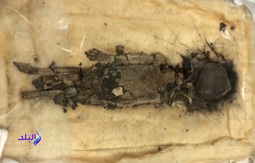 مومياء أثرية