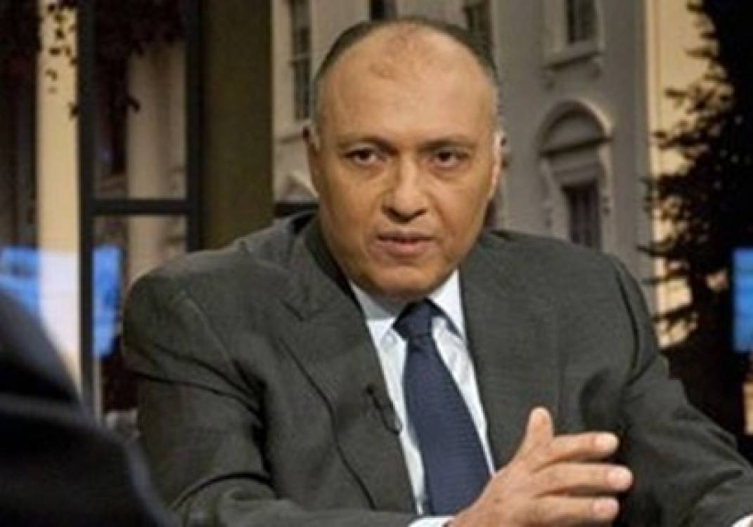 وزير الخارجية سامح شكري