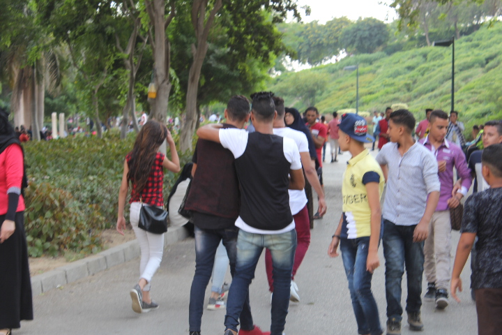 صورة ارشيفية