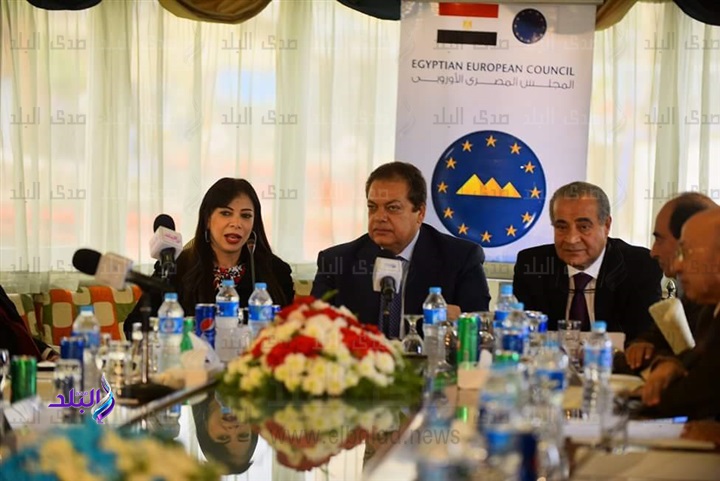  الدكتور علي مصيلحي، رئيس اللجنة الاقتصادية بالبرلمان