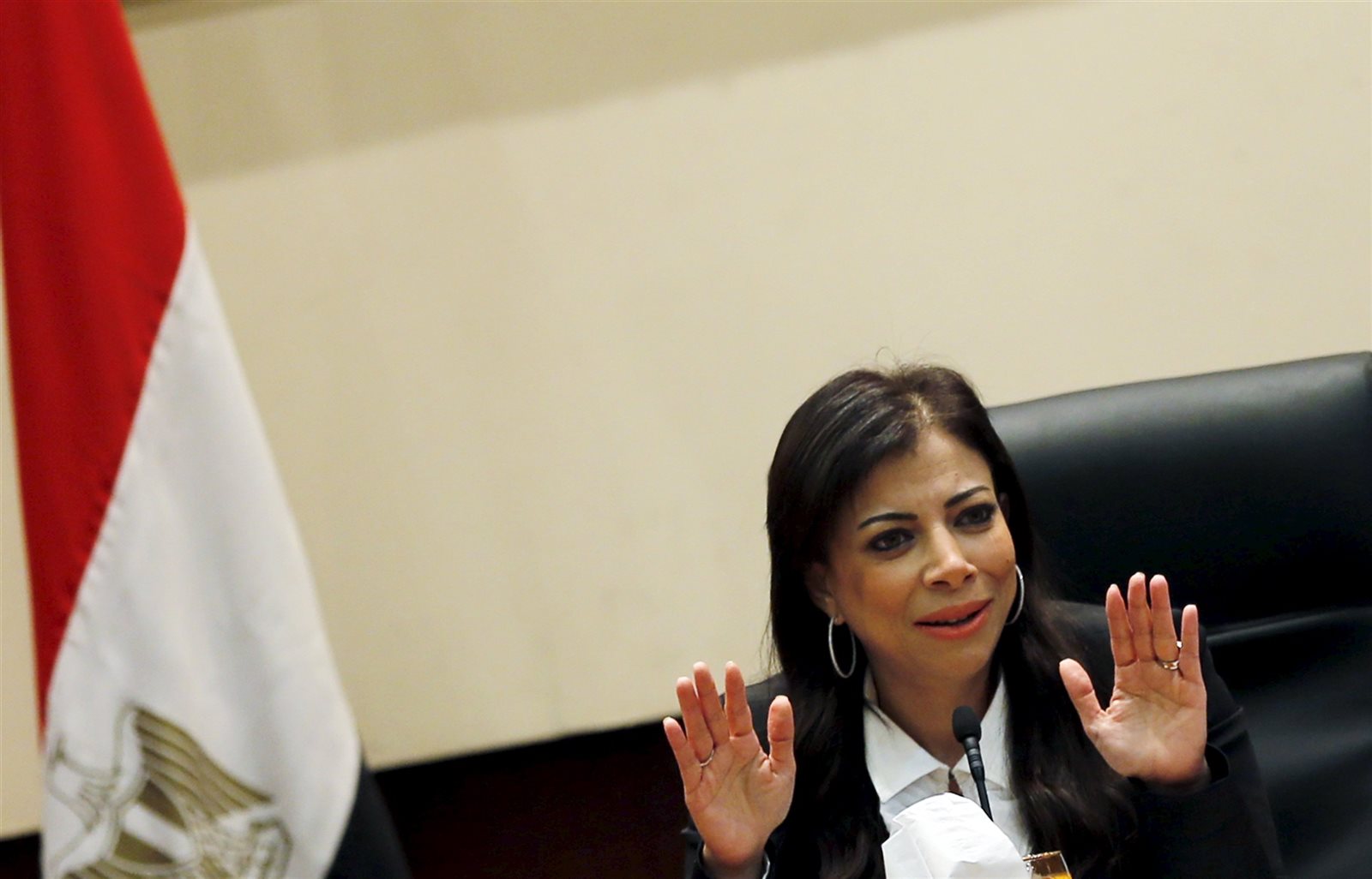 داليا خورشيد، وزيرة الاستثمار