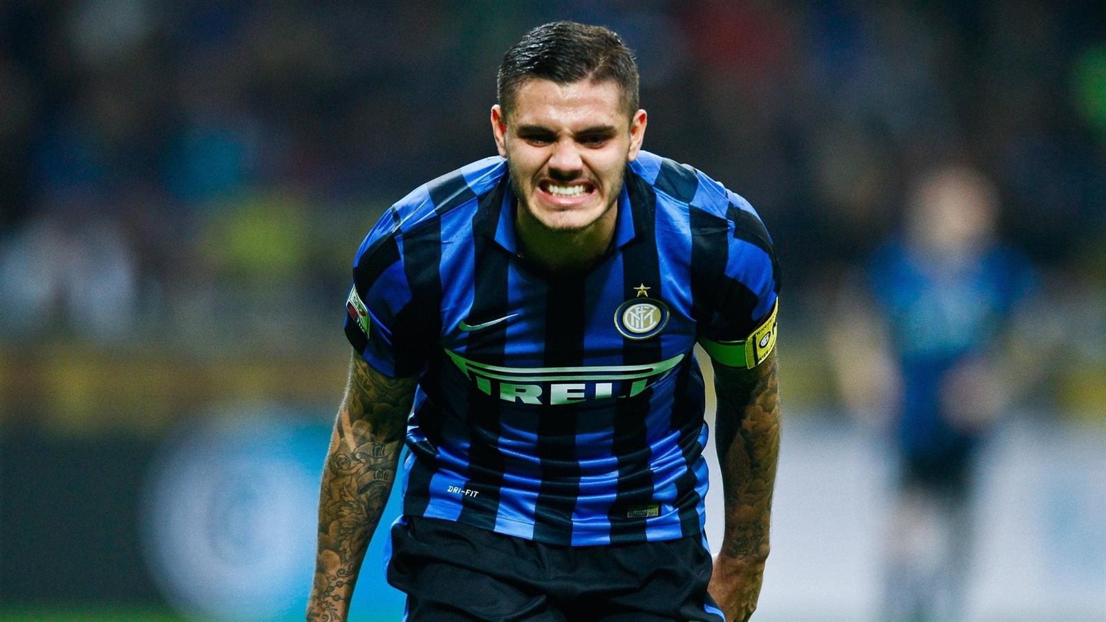  ماورو إيكاردي