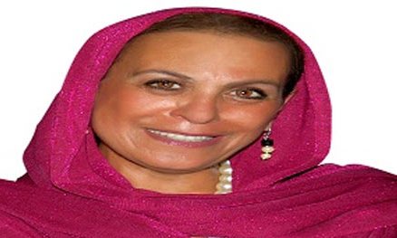 نفين لطفى 