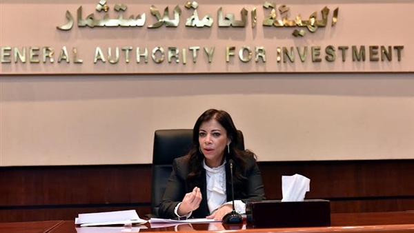 وزيرة الاستثمار داليا خورشيد