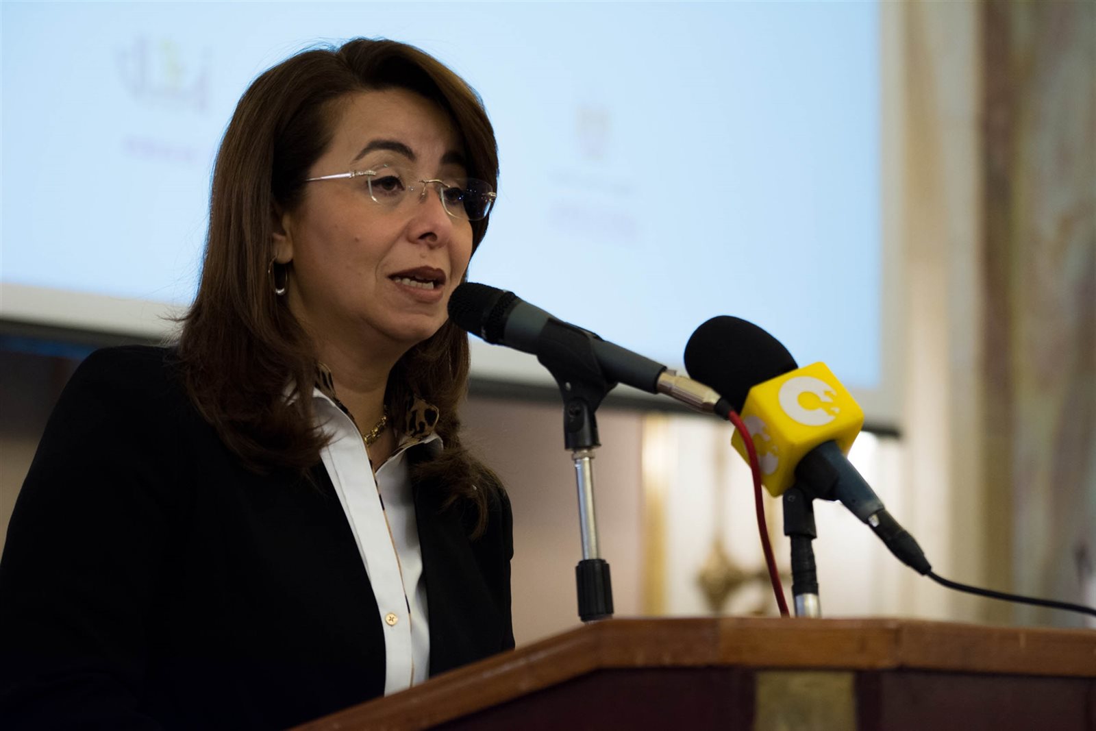 وزيرة التضامن 