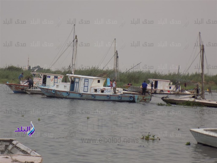 بحيرة المنزلة - الدقهلية