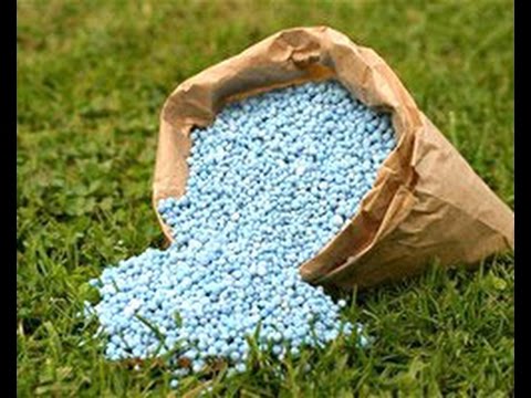 صورة أرشيفية صورة أرشيفية