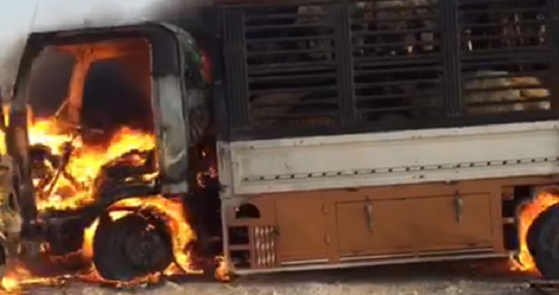 صورة أرشيفية