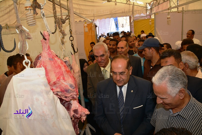 محافظ سوهاج