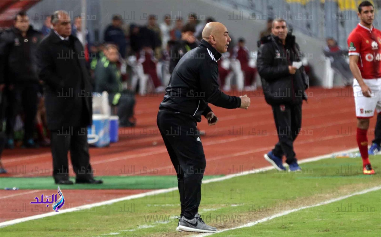 حسام حسن