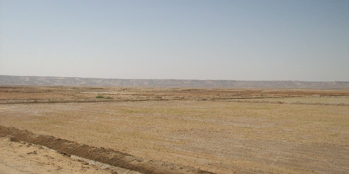 صورة ارشيفية صورة ارشيفية