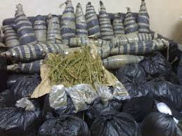 صورة أرشيفية صورة أرشيفية