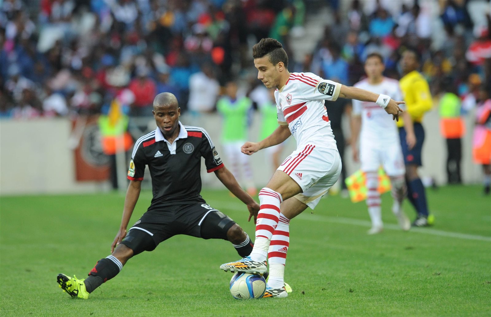 مصطفى فتحى مصطفى فتحى