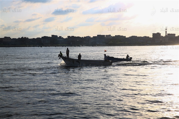 رشيد رشيد
