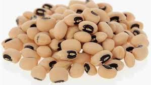 اللوبيا اللوبيا
