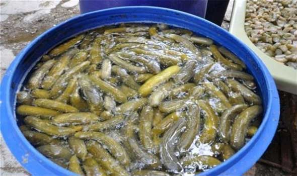 صورة أرشيفية صورة أرشيفية