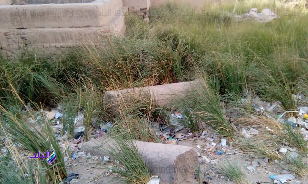 القمامة حول الأثار 