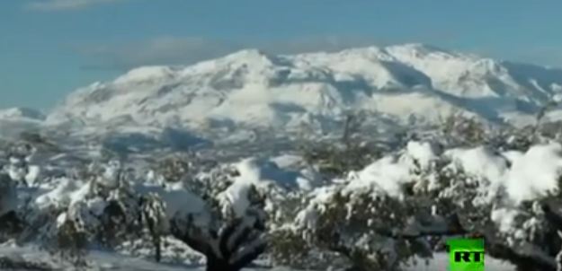 صورة من الحدث 