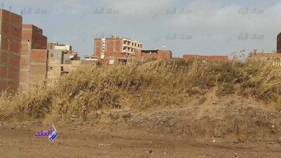 . آثار القليوبية ملقاه بالشوارع 