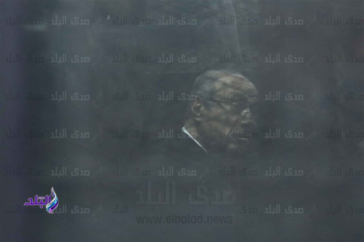 العادلي