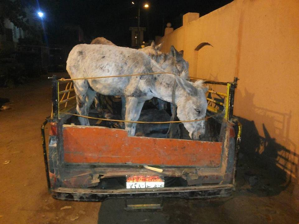 صورة أرشيفية صورة أرشيفية