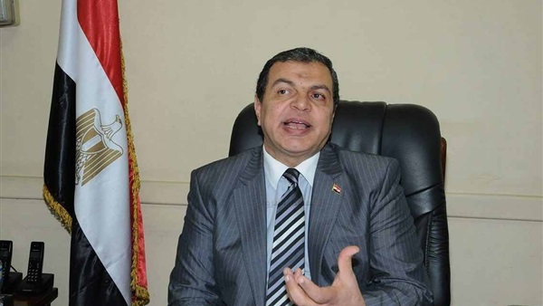 محمد سعفان، وزير القوي العاملة
