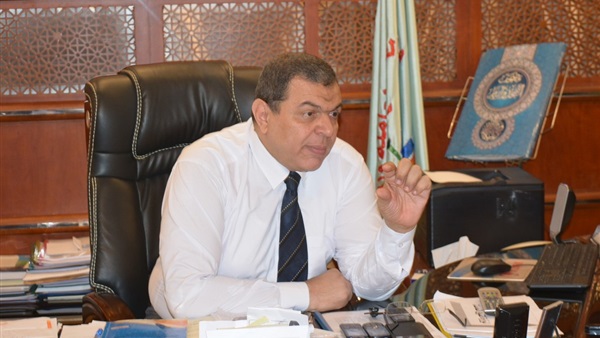 محمد سعفان وزير القوى العاملة محمد سعفان وزير القوى العاملة