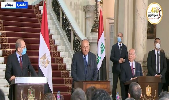وزير الخارجية المصرى