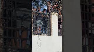 جماهير غزل المحلة
