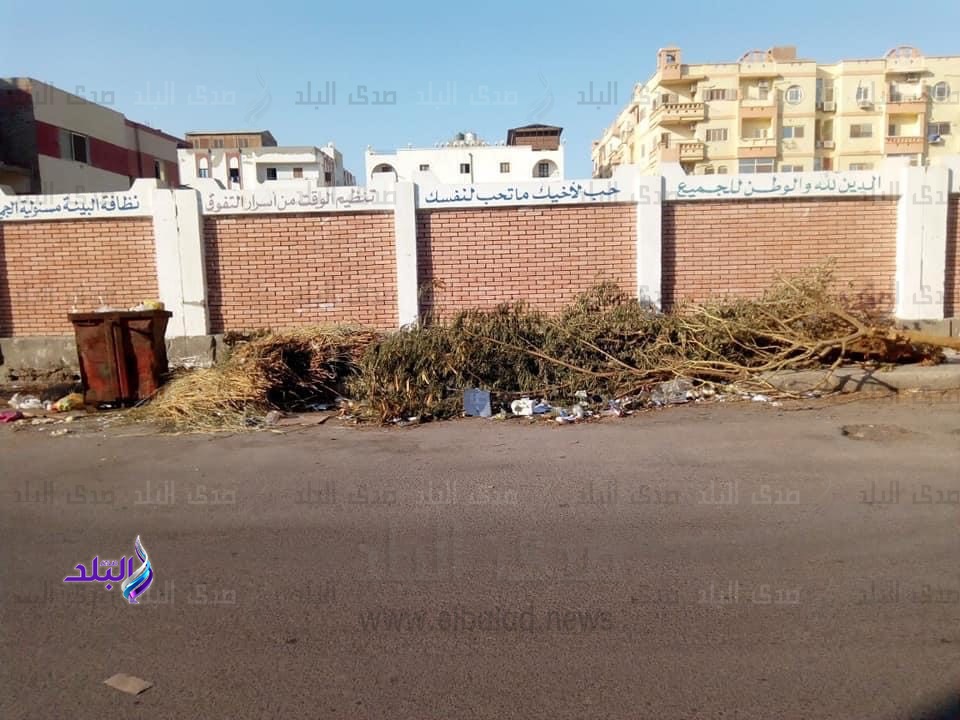 حملات نظافة 