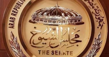 مجلس الشيوخ