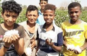فرحة عارمة بالق