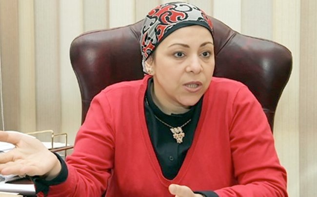 الدكتور نهاد أبو القمصان رئيس المركز المصري لحقوق المرأة