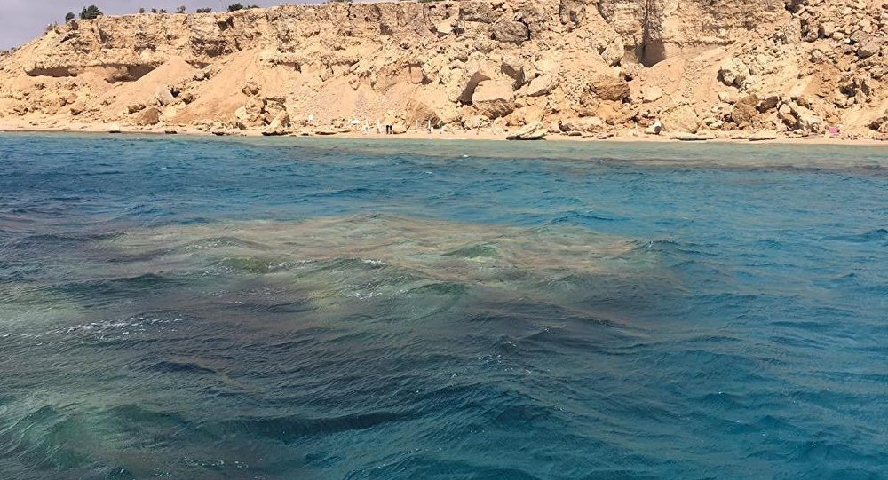 جزيرتي تيران وصنافير-أرشيفية جزيرتي تيران وصنافير-أرشيفية