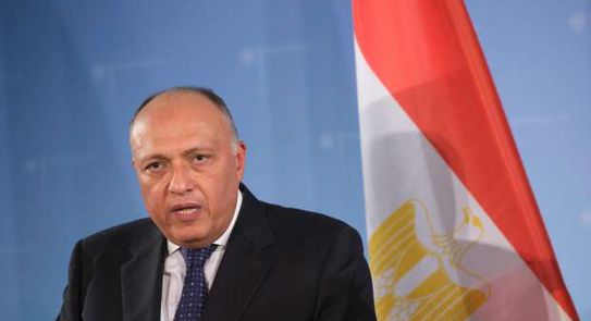 وزير الخارجية سامح شكري