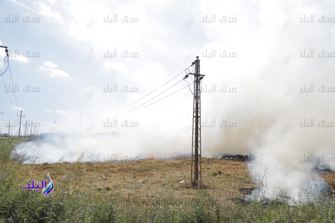 حرق قش الأرز 