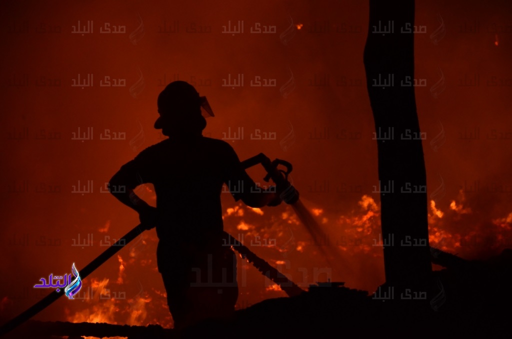 صورة أرشيفية