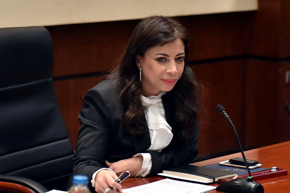 وزيرة الاستثمار وزيرة الاستثمار