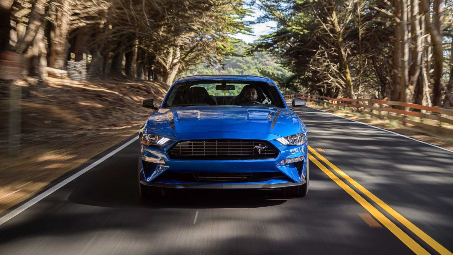 فورد موستانج ford mustang 2021 