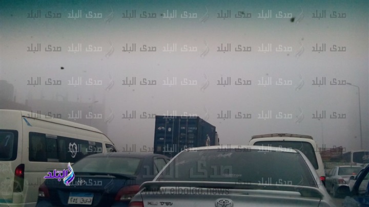 صورة أرشيفية صورة أرشيفية