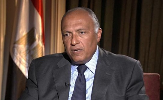 السفير سامح شكري وزير الخارجية